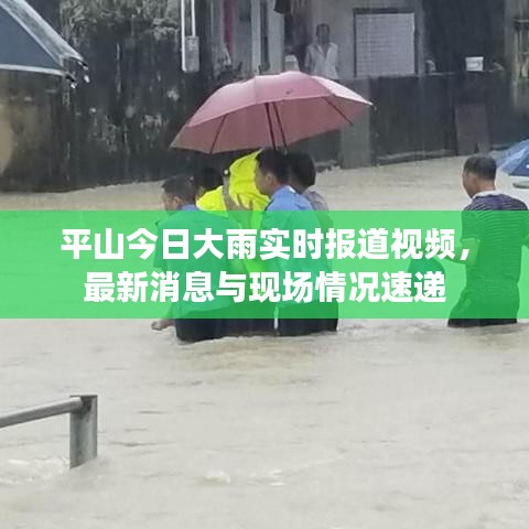 平山今日大雨实时报道视频,最新消息与现场情况速递