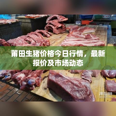 莆田生猪价格今日行情,最新报价及市场动态