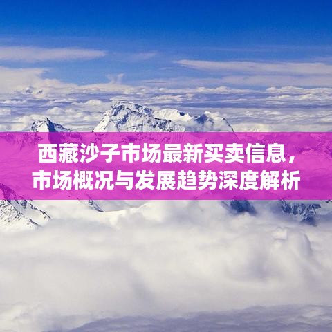 西藏沙子市场最新买卖信息,市场概况与发展趋势深度解析