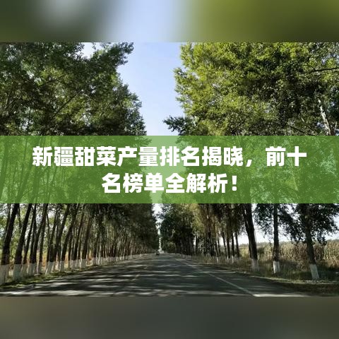 新疆甜菜产量排名揭晓,前十名榜单全解析!