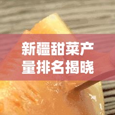 新疆甜菜产量排名揭晓,前十名榜单全解析!