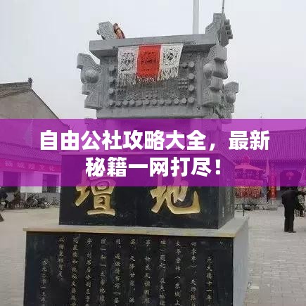 自由公社攻略大全,最新秘籍一网打尽!