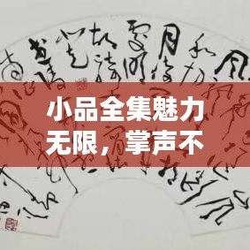 小品全集魅力无限,掌声不断回响!