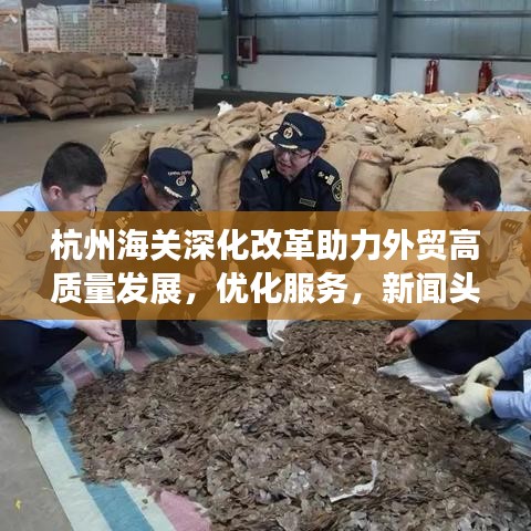杭州海关深化改革助力外贸高质量发展,优化服务,新闻头条抢先看