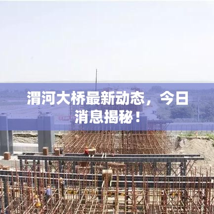 渭河大桥最新动态,今日消息揭秘!