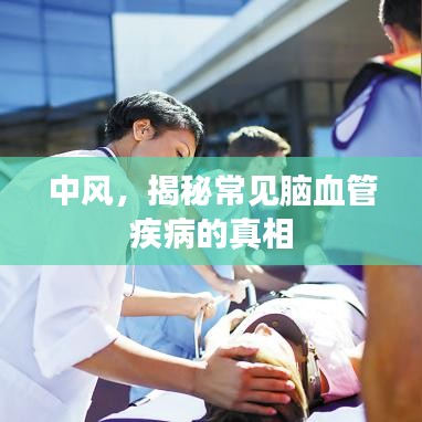 中风,揭秘常见脑血管疾病的真相