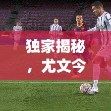 独家揭秘,尤文今日赛场动态、直播回放与球队最新近况!