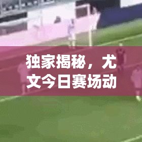 独家揭秘,尤文今日赛场动态、直播回放与球队最新近况!