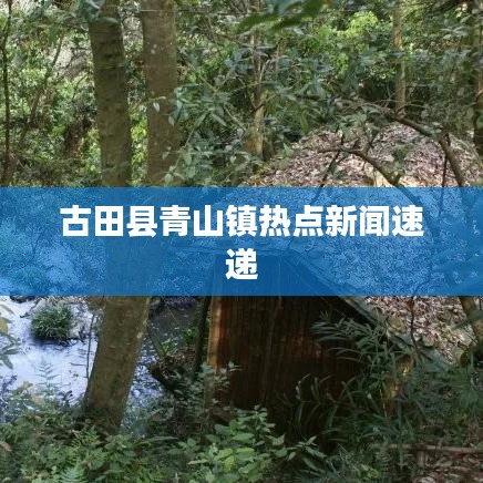 古田县青山镇热点新闻速递