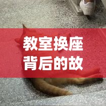 教室换座背后的故事,流动与适应的深层探究