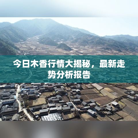 今日木香行情大揭秘，最新走势分析报告
