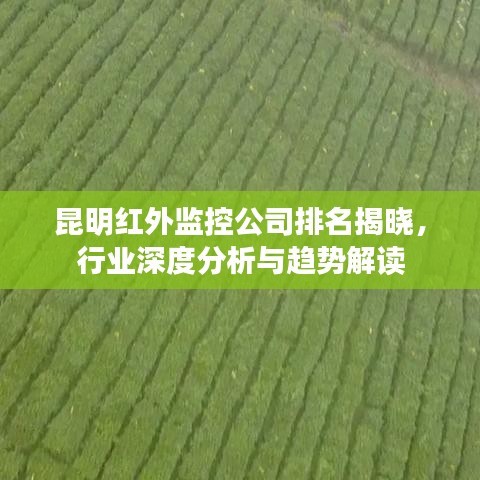 鬼张鬼智 第2页