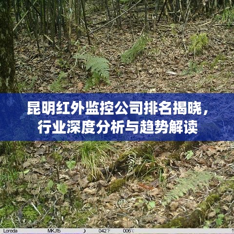 昆明红外监控公司排名揭晓,行业深度分析与趋势解读