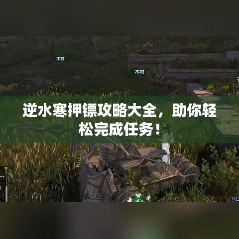 逆水寒押镖攻略大全,助你轻松完成任务!