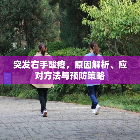 突发右手酸疼,原因解析、应对方法与预防策略