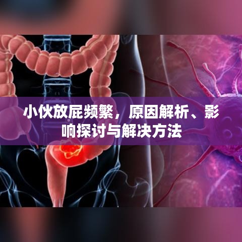 小伙放屁频繁,原因解析、影响探讨与解决方法