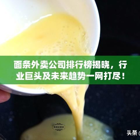 面条外卖公司排行榜揭晓,行业巨头及未来趋势一网打尽!