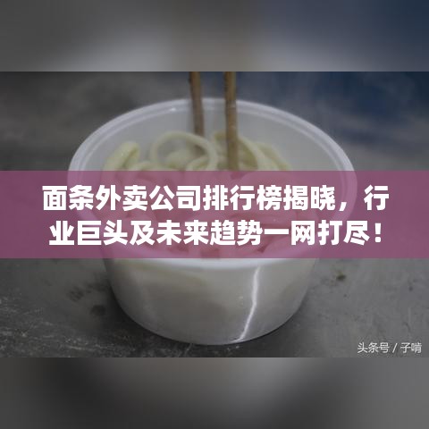 面条外卖公司排行榜揭晓,行业巨头及未来趋势一网打尽!