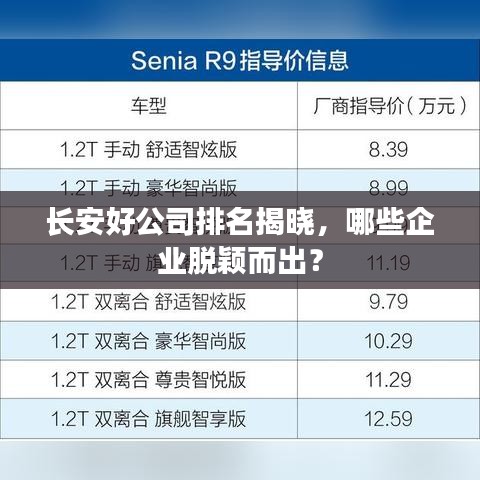 长安好公司排名揭晓,哪些企业脱颖而出?