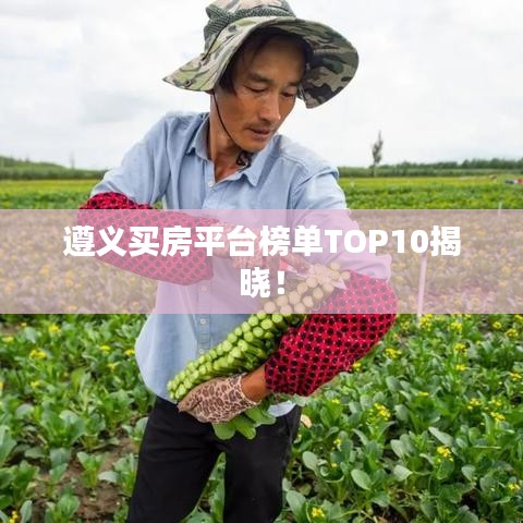 遵义买房平台榜单TOP10揭晓!