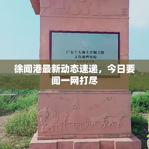 徐闻港最新动态速递,今日要闻一网打尽