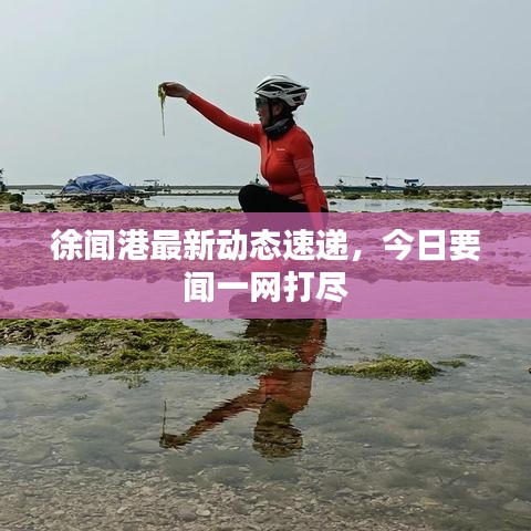 徐闻港最新动态速递,今日要闻一网打尽