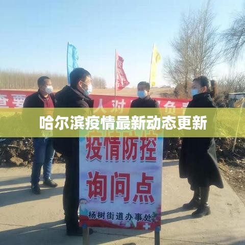 哈尔滨疫情最新动态更新