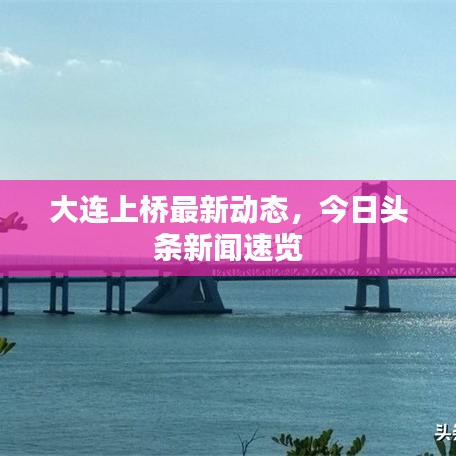 大连上桥最新动态,今日头条新闻速览