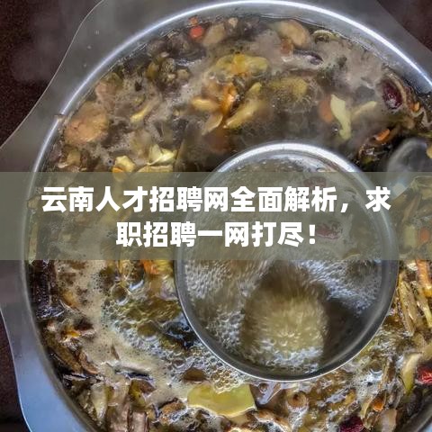 云南人才招聘网全面解析,求职招聘一网打尽!