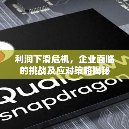 利润下滑危机,企业面临的挑战及应对策略揭秘