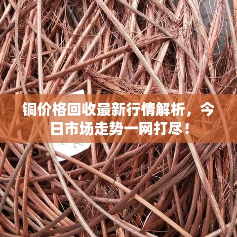 铜价格回收最新行情解析,今日市场走势一网打尽!