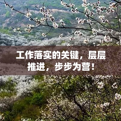 工作落实的关键,层层推进,步步为营!