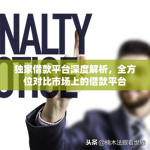 独家借款平台深度解析,全方位对比市场上的借款平台