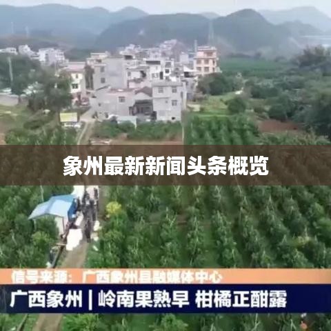 象州最新新闻头条概览