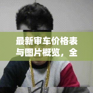 最新审车价格表与图片概览,全面解读,一目了然!
