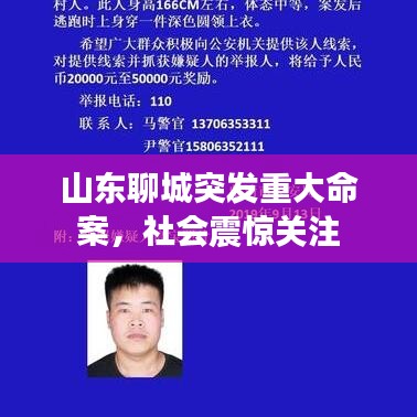 山东聊城突发重大命案,社会震惊关注