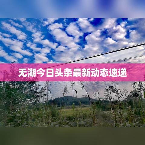 无湖今日头条最新动态速递