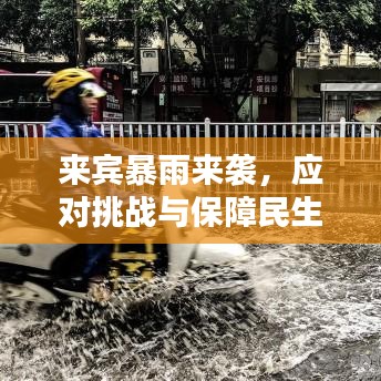 飞来横祸 第3页