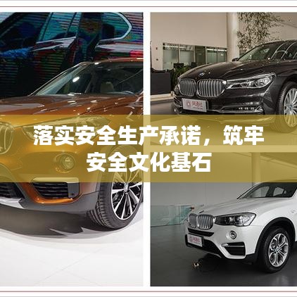 落实安全生产承诺,筑牢安全文化基石