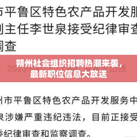 朔州社会组织招聘热潮来袭,最新职位信息大放送