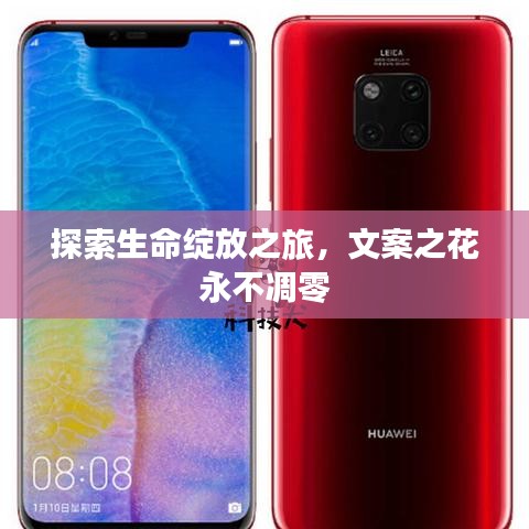 探索生命绽放之旅，文案之花永不凋零
