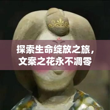 探索生命绽放之旅,文案之花永不凋零
