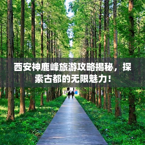 西安神鹿峰旅游攻略揭秘,探索古都的无限魅力!