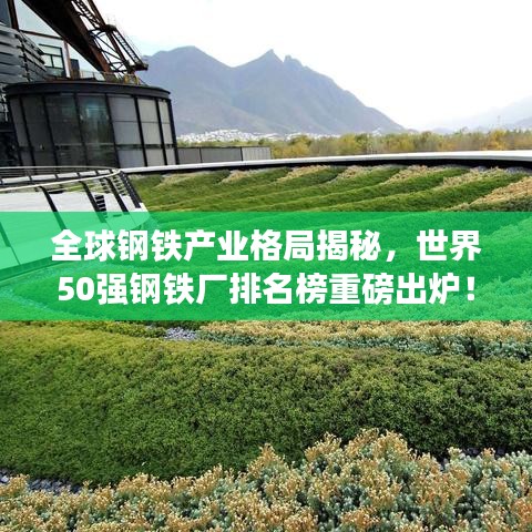 全球钢铁产业格局揭秘,世界50强钢铁厂排名榜重磅出炉!