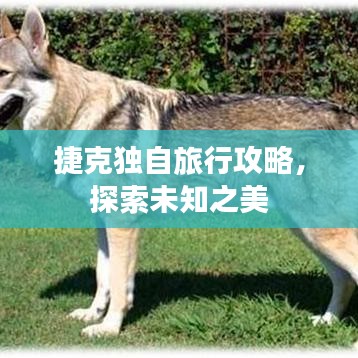 捷克独自旅行攻略,探索未知之美