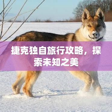 捷克独自旅行攻略,探索未知之美