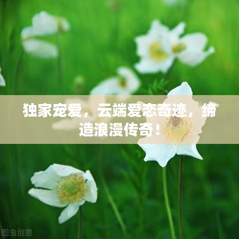 独家宠爱,云端爱恋奇迹,缔造浪漫传奇!