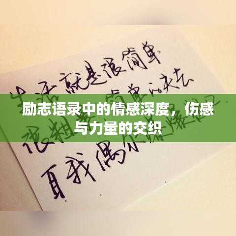 忠心耿耿 第3页