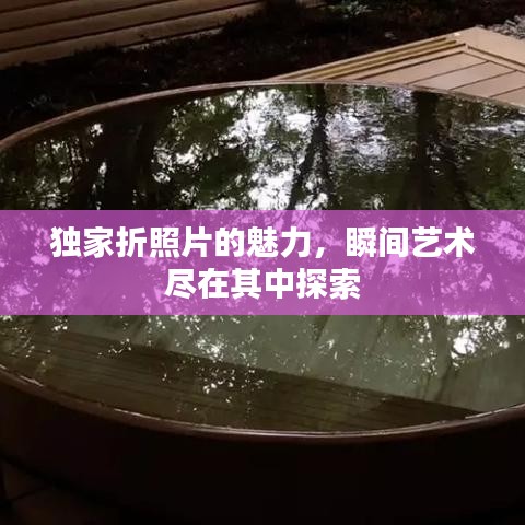 独家折照片的魅力,瞬间艺术尽在其中探索