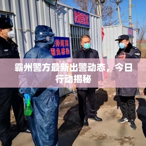 霸州警方最新出警动态,今日行动揭秘